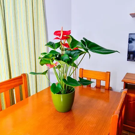 Holiday home Casa Manoli Conil De La Frontera