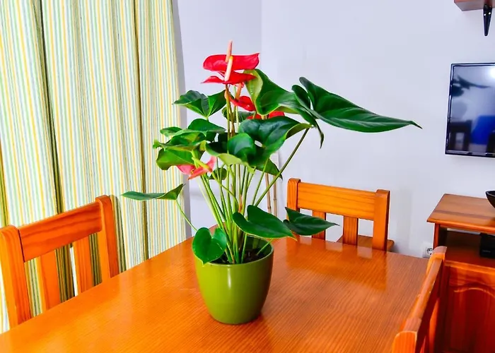 בית נופש Casa Manoli קוניל דה לה פרונטרה